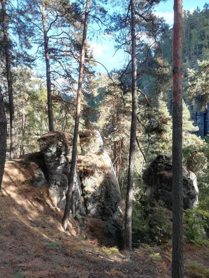 Pension Kral Jablonec nad Nisou Eksteriør bilde